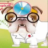 Dr.Bulldog's Pets Hospital 게임