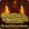 Adventure Chronicles: The Search for Lost Treasure 게임