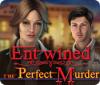 Entwined: The Perfect Murder 게임