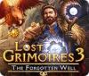 Lost Grimoires 3: The Forgotten Well 게임