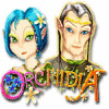  Orchidia 경기