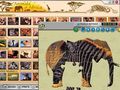 무료 다운로드 Animals of Africa 스크린샷 2