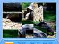 Free download Jig Swap Puzzle screenshot
