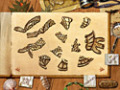무료 다운로드 Paradise Quest 스크린샷 2