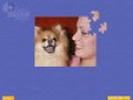 무료 다운로드 Super Jigsaw Puppies 스크린샷 1