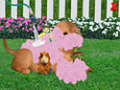 무료 다운로드 Wonder Pets Save the Puppy 스크린샷 2