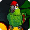  Thirsty Parrot 경기