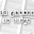 10 Gnomes in Liege 게임