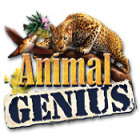 Animal Genius 게임