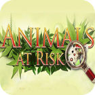 Animals At Risk 게임