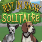 Best in Show Solitaire 게임