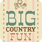 Big Country Fun 게임