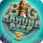 Big Kahuna Reef 3 게임