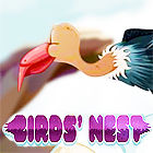Birds Nest 게임