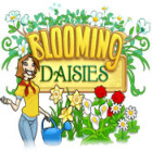 Blooming Daisies 게임