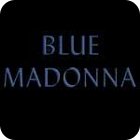 Blue Madonna: A Carol Reed Story 게임