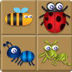 Bug Box 게임