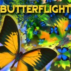 Butterflight 게임