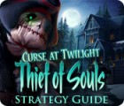 Curse at Twilight: Thief of Souls Strategy Guide 게임