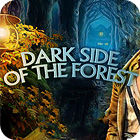 Dark Side Of The Forest 게임