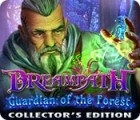 Dreampath: Guardian of the Forest Collector's Edition 게임