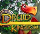 Druid Kingdom 게임