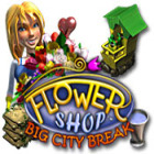 Flower Shop: Big City Break 게임