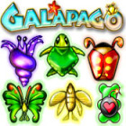 Galapago 게임