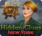 Hidden Clues: New York 게임