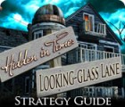 Hidden in Time: Looking-glass Lane Strategy Guide 게임