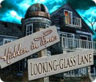 Hidden in Time: Looking-glass Lane 게임