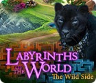 Labyrinths of the World: The Wild Side 게임