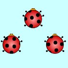 Ladybug Pair Up 게임