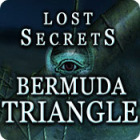 Lost Secrets: Bermuda Triangle 게임
