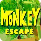 Monkey Escape 게임