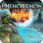 Phenomenon: Meteorite Collector's Edition 게임