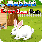 Rabbit Escape From Eagle 게임