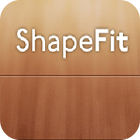 Shape Fit 게임