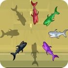 Shark Hunter 게임