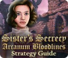 Sister's Secrecy: Arcanum Bloodlines Strategy Guide 게임