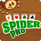 Spider Pro 게임