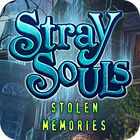 Stray Souls: Stolen Memories 게임
