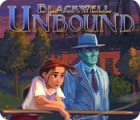 The Blackwell Unbound 게임