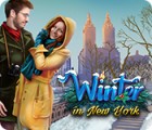 Winter in New York 게임