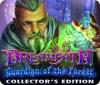 Dreampath: Guardian of the Forest Collector's Edition game