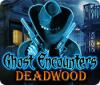 Ghost Encounters: Deadwood 게임