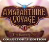 Amaranthine Voyage: The Burning Sky Collector's Edition 게임