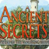 Ancient Secrets: Mystery of the Vanishing Bride 게임