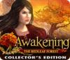 Awakening: The Redleaf Forest Collector's Edition 게임