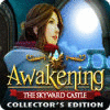 Awakening: The Skyward Castle Collector's Edition 게임
